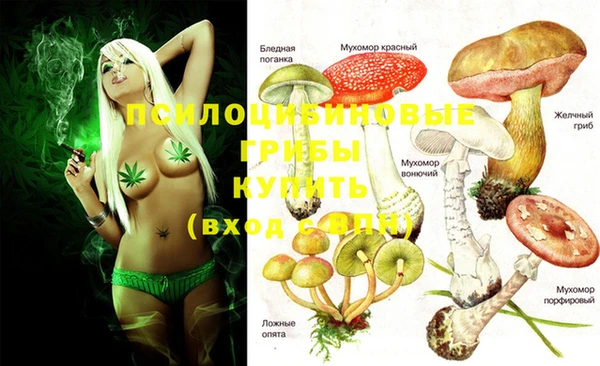 mdma Богородск